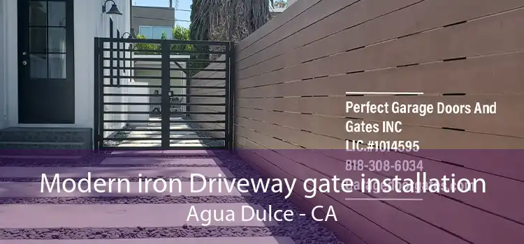 Modern iron Driveway gate installation Agua Dulce - CA