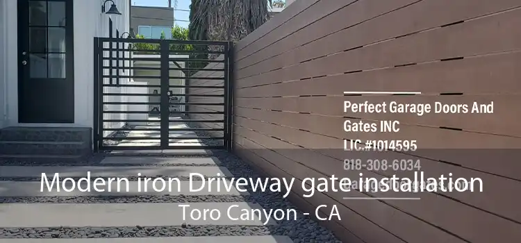 Modern iron Driveway gate installation Toro Canyon - CA